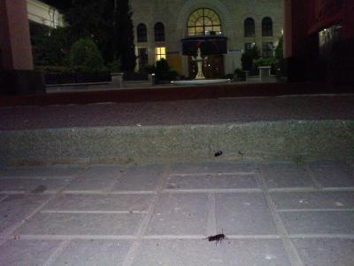 Прикрепленное изображение: DSC00416.JPG